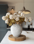 White Viburnum Flower