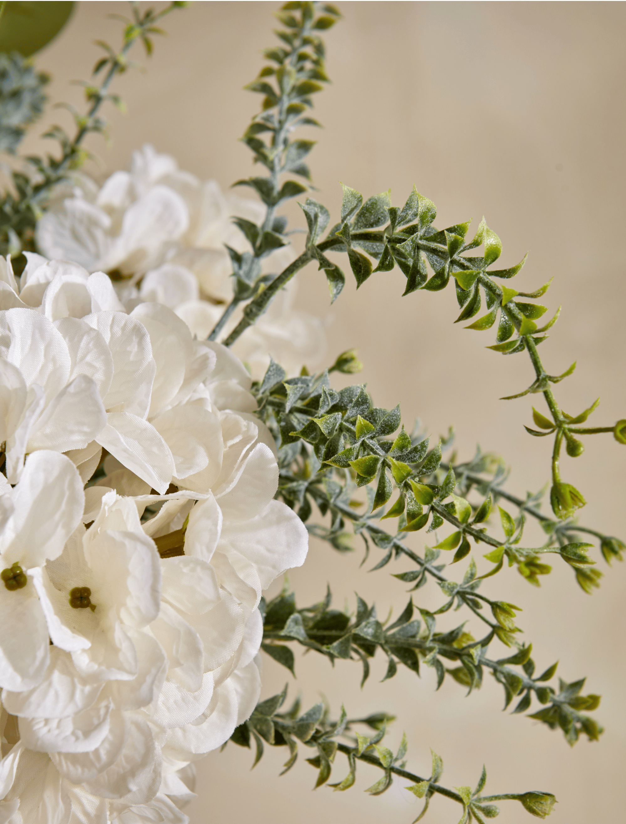 Eucalyptus White Hydrangea