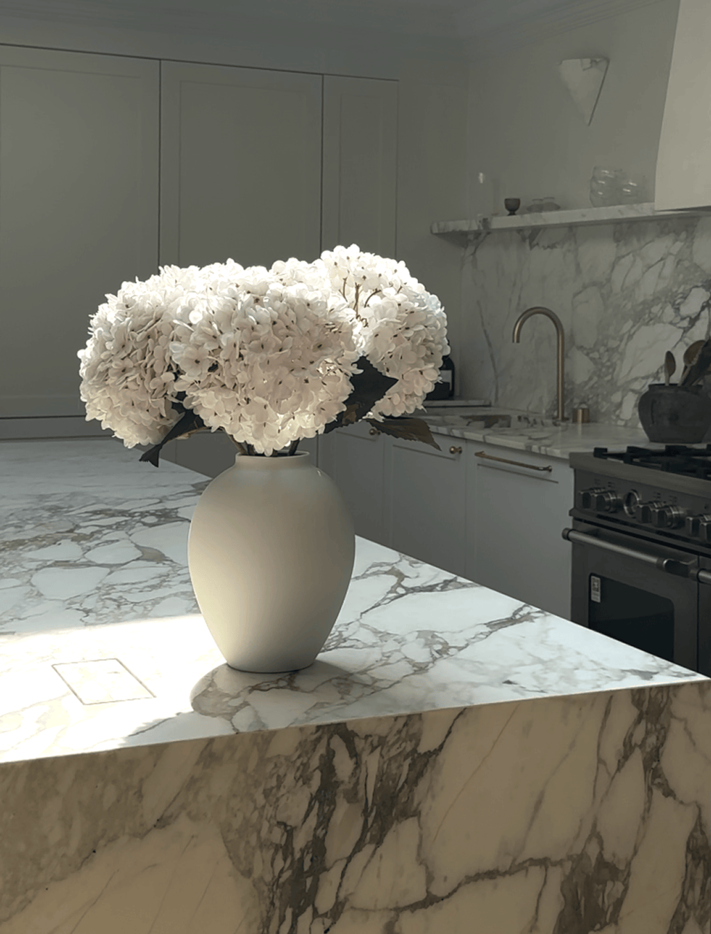 White Hydrangea