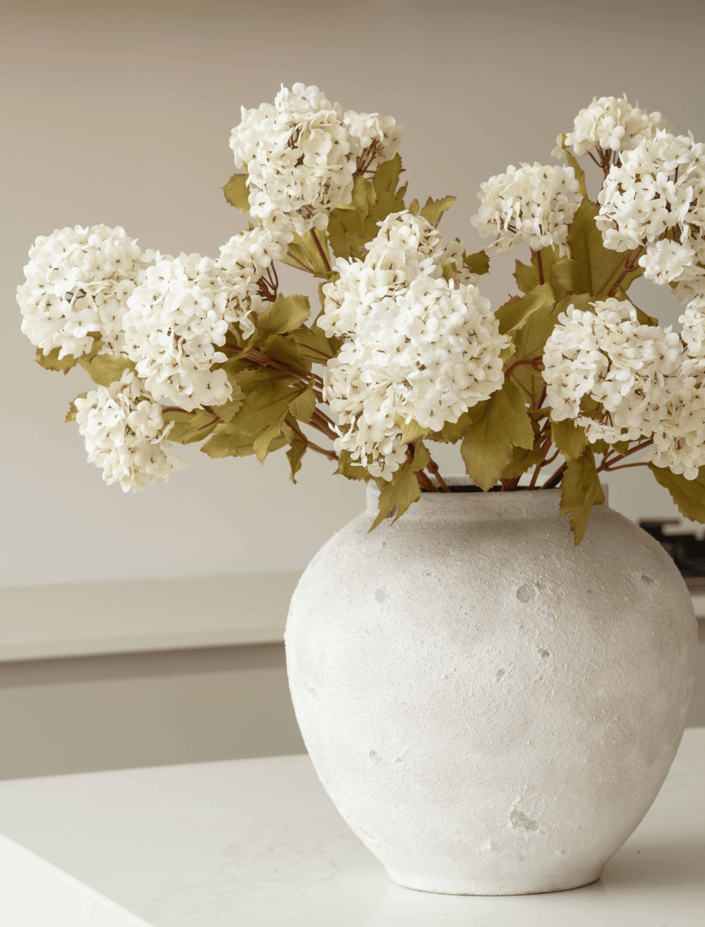 White Viburnum Flower