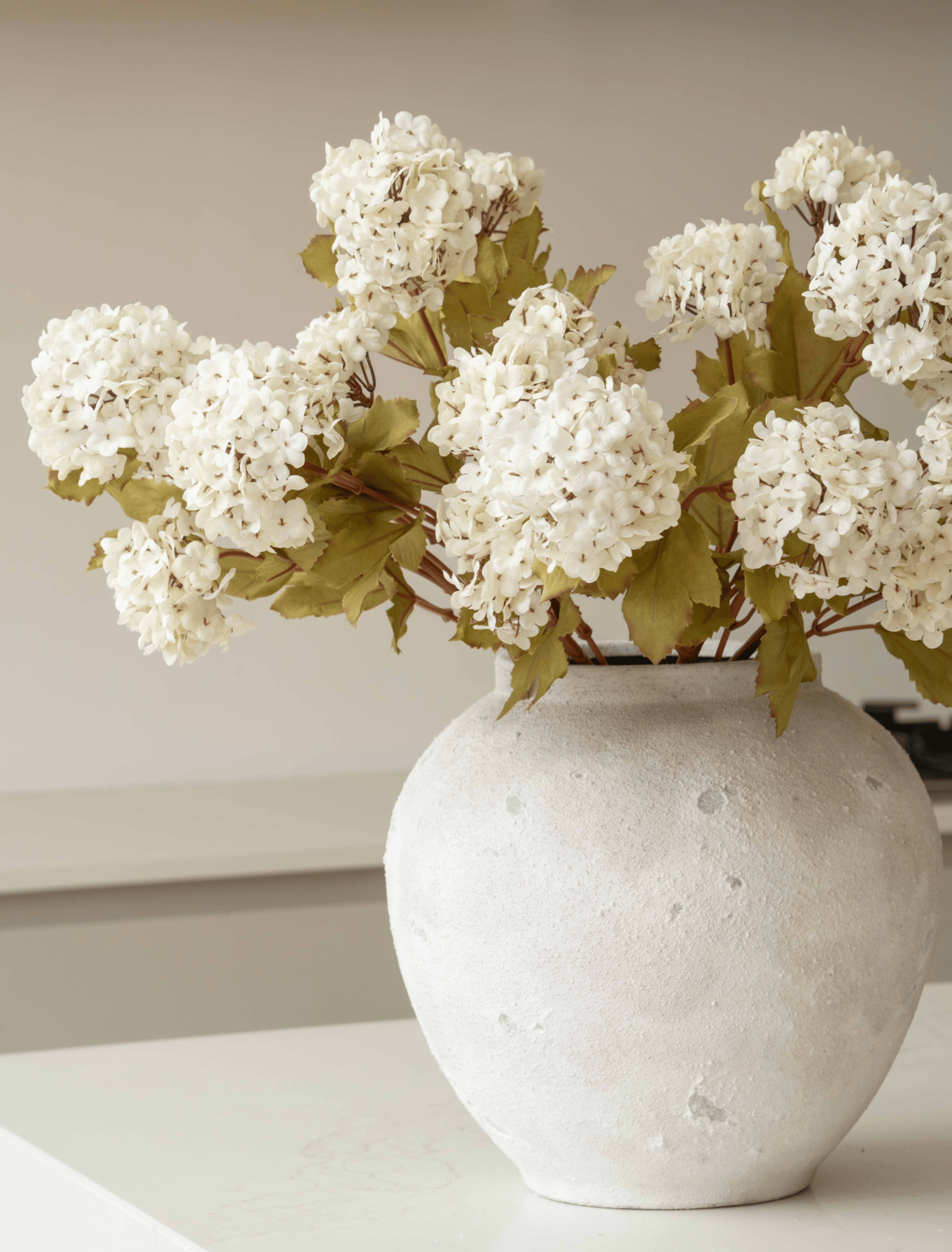 White Viburnum Flower