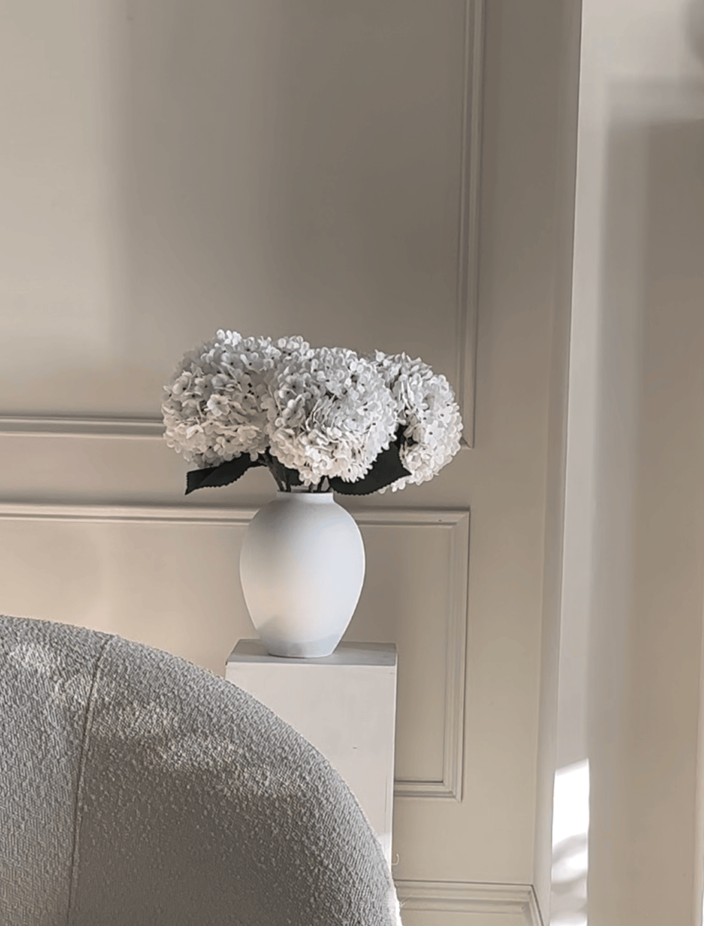 White Hydrangea