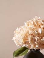 Cream Hydrangea Bouquet