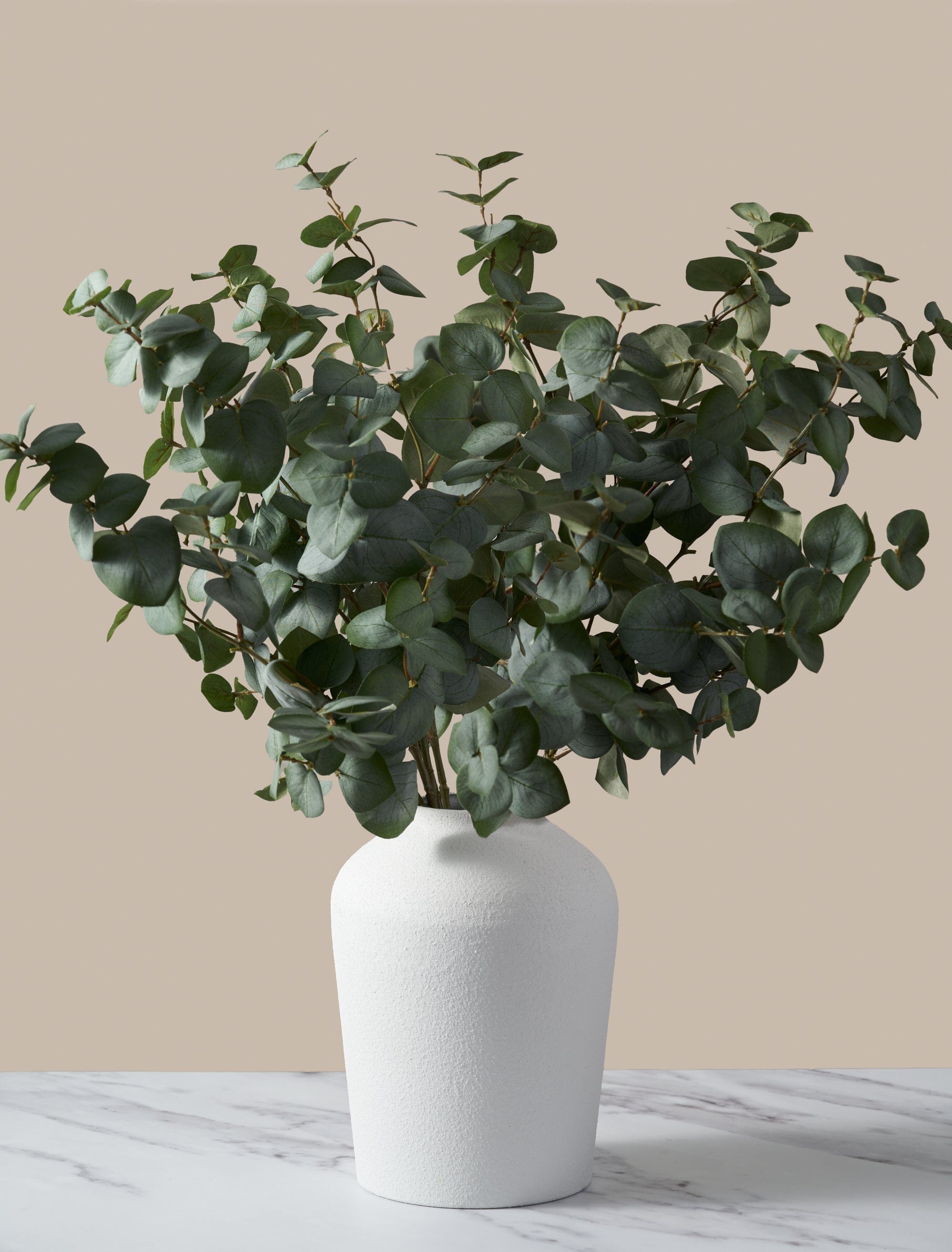 Green Cinerea Eucalyptus