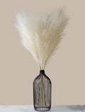 Beige Pampas Grass