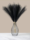 Black Pampas Grass