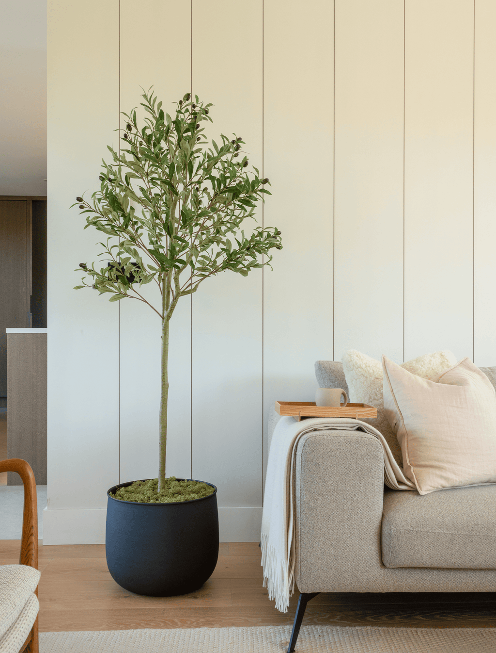 Olive Tree