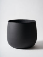 Iron Pot