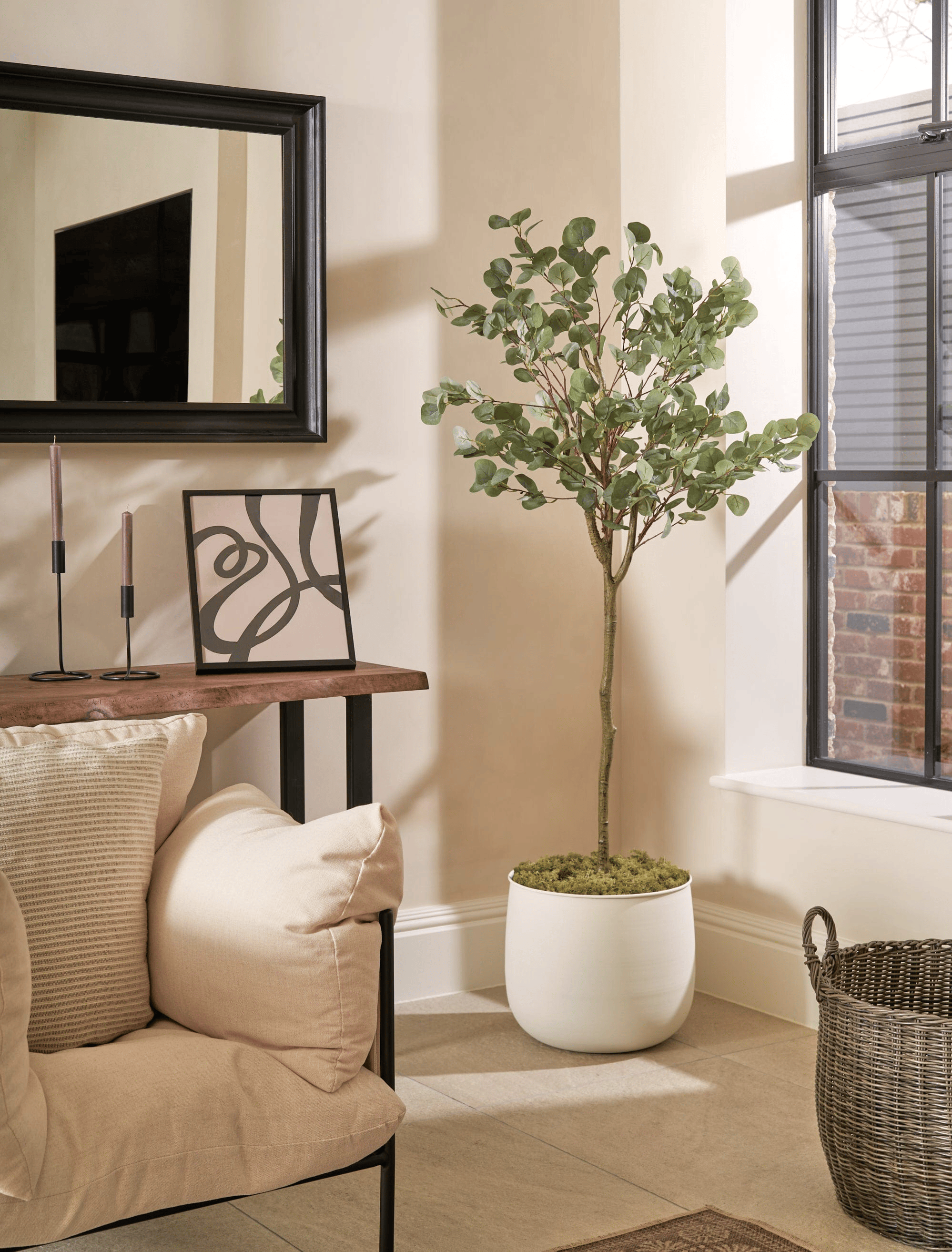 Eucalyptus Tree