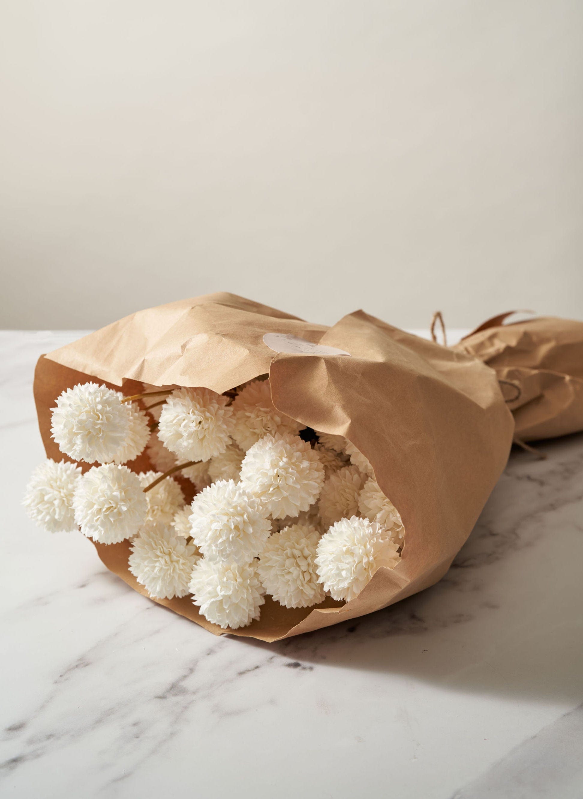 White Kiku Flower