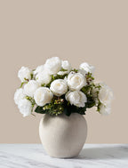 White Ivory Rose