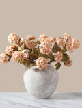Apricot Viburnum Flower