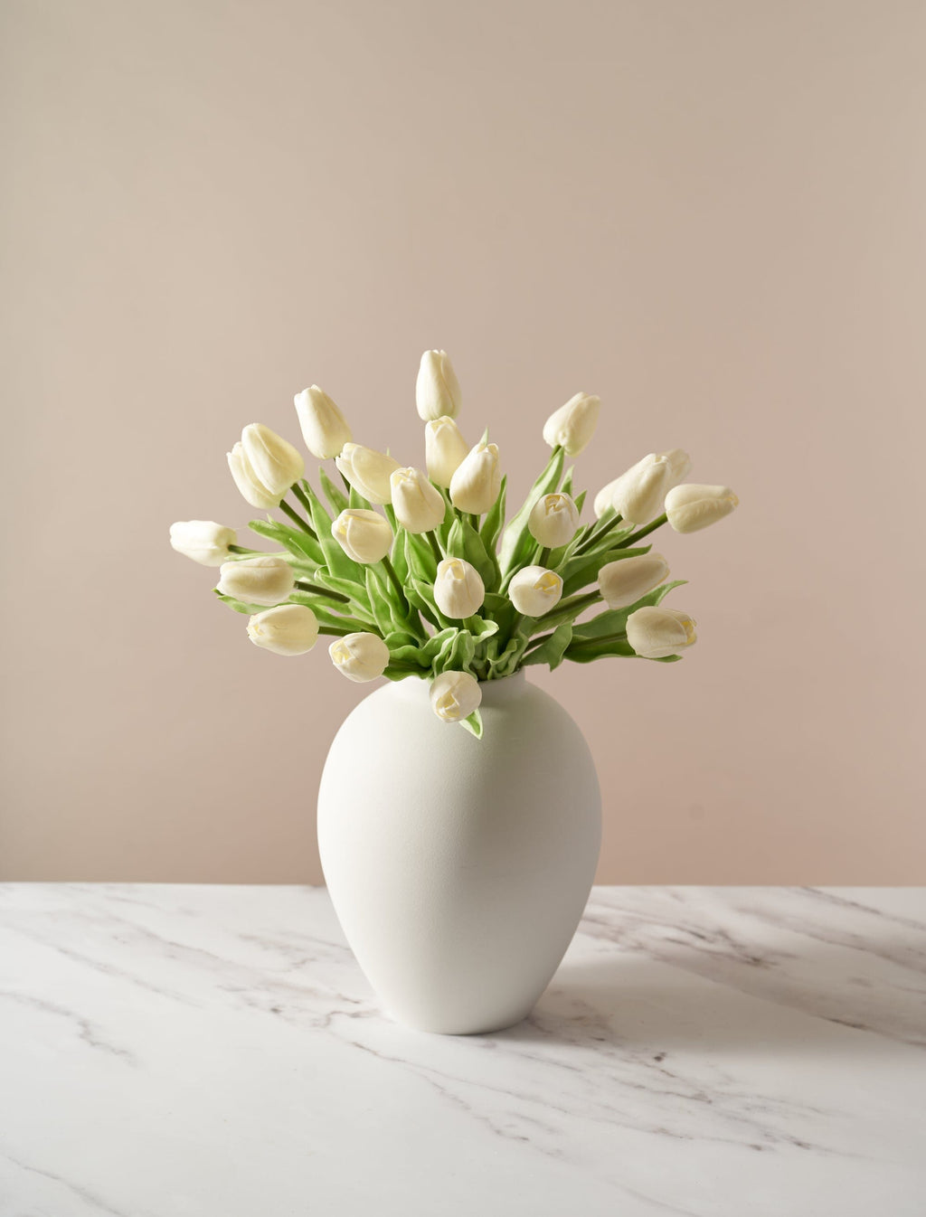 Ivory Tulip