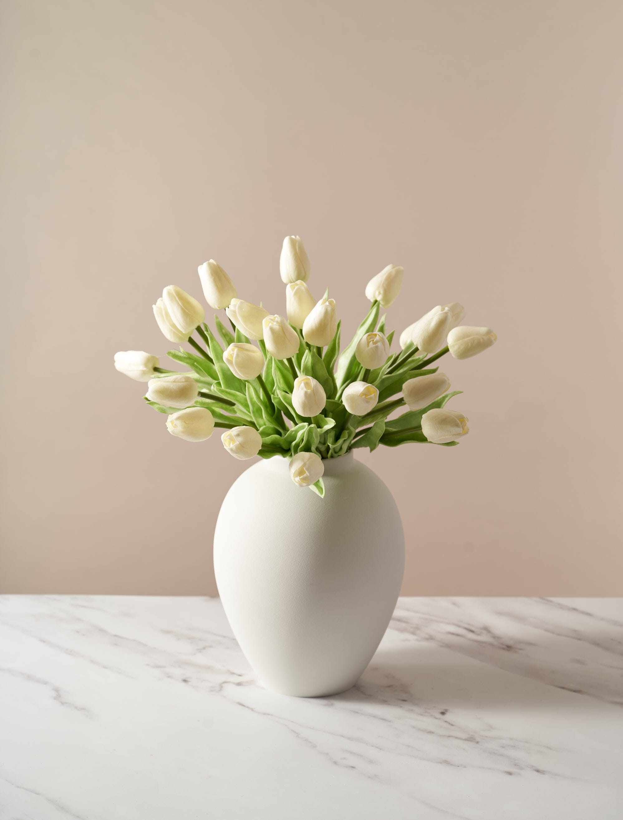 Ivory Tulip