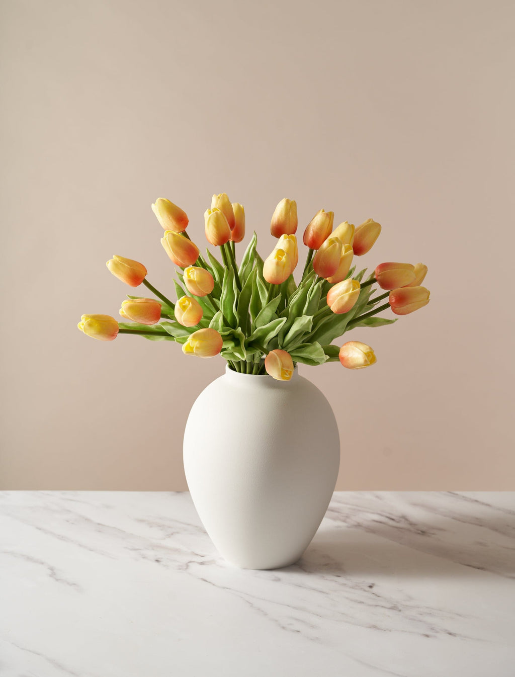 Sunrise Tulip