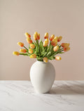 Sunrise Tulip