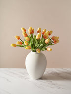Sunrise Tulip