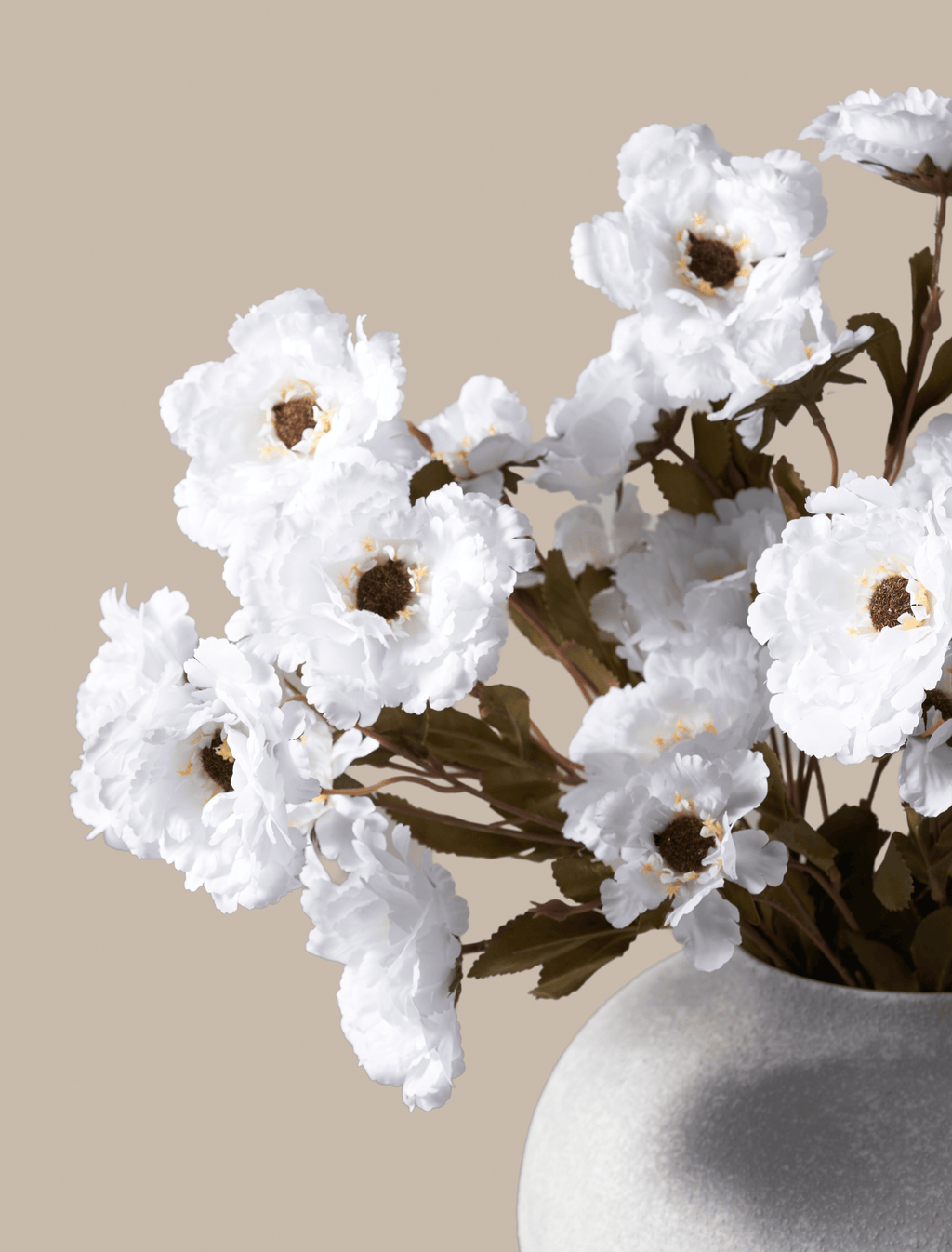 White Moutan Peony