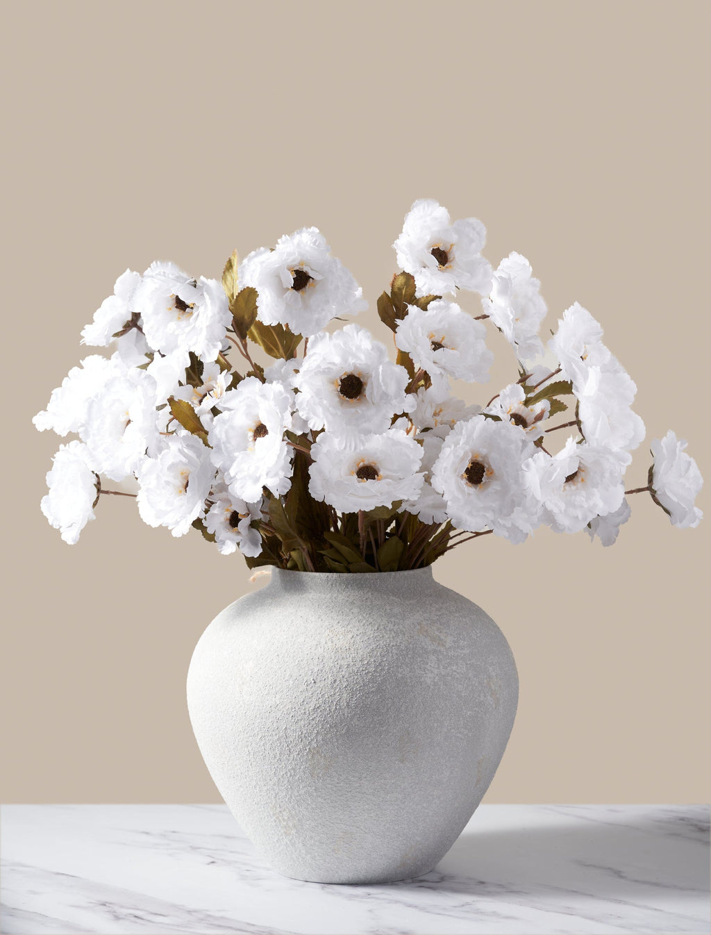 White Moutan Peony