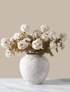 White Viburnum Flower