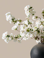 White Cherry Blossom