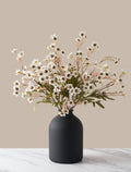White Wax Flower