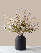 White Wax Flower