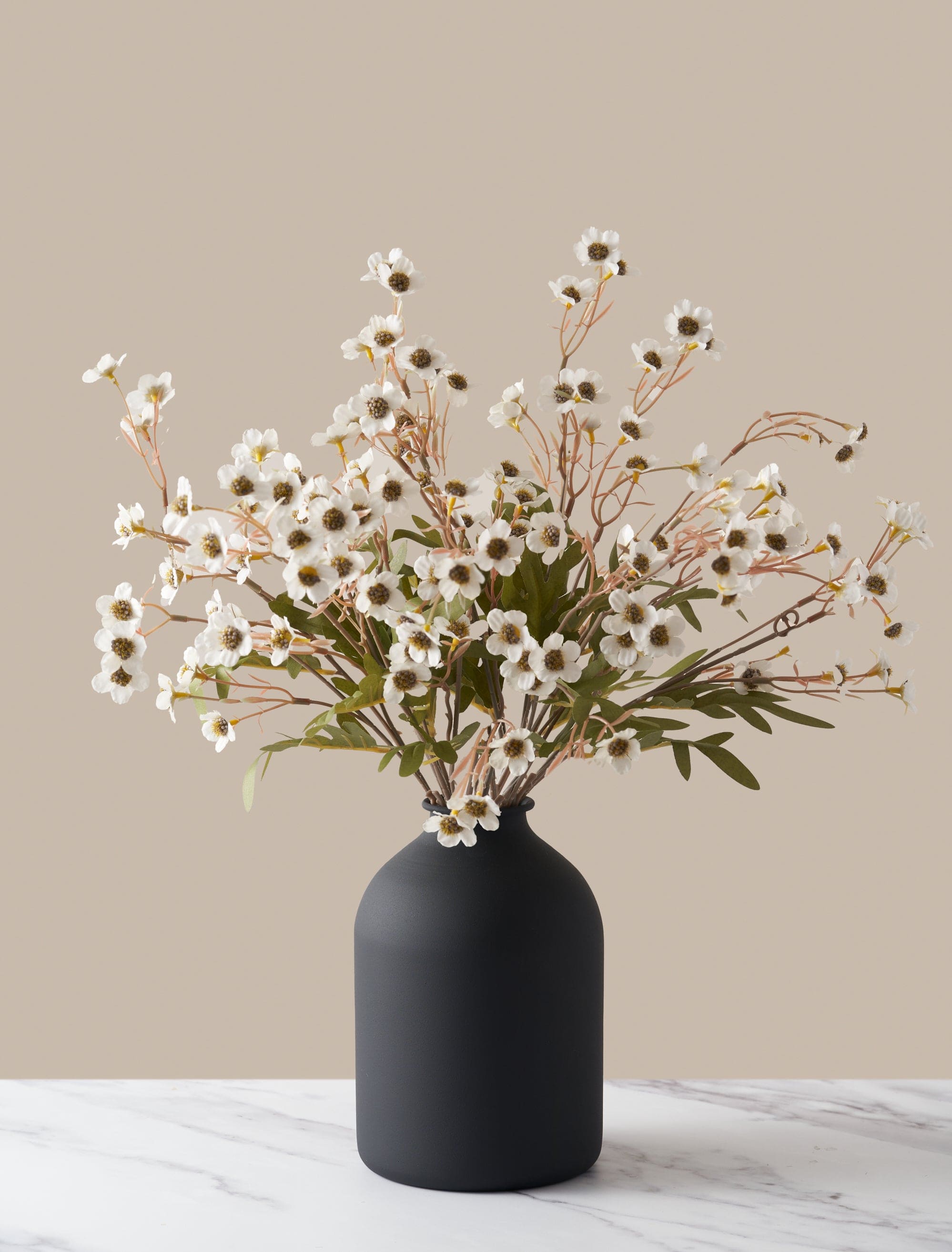 White Wax Flower