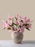Pink Lily