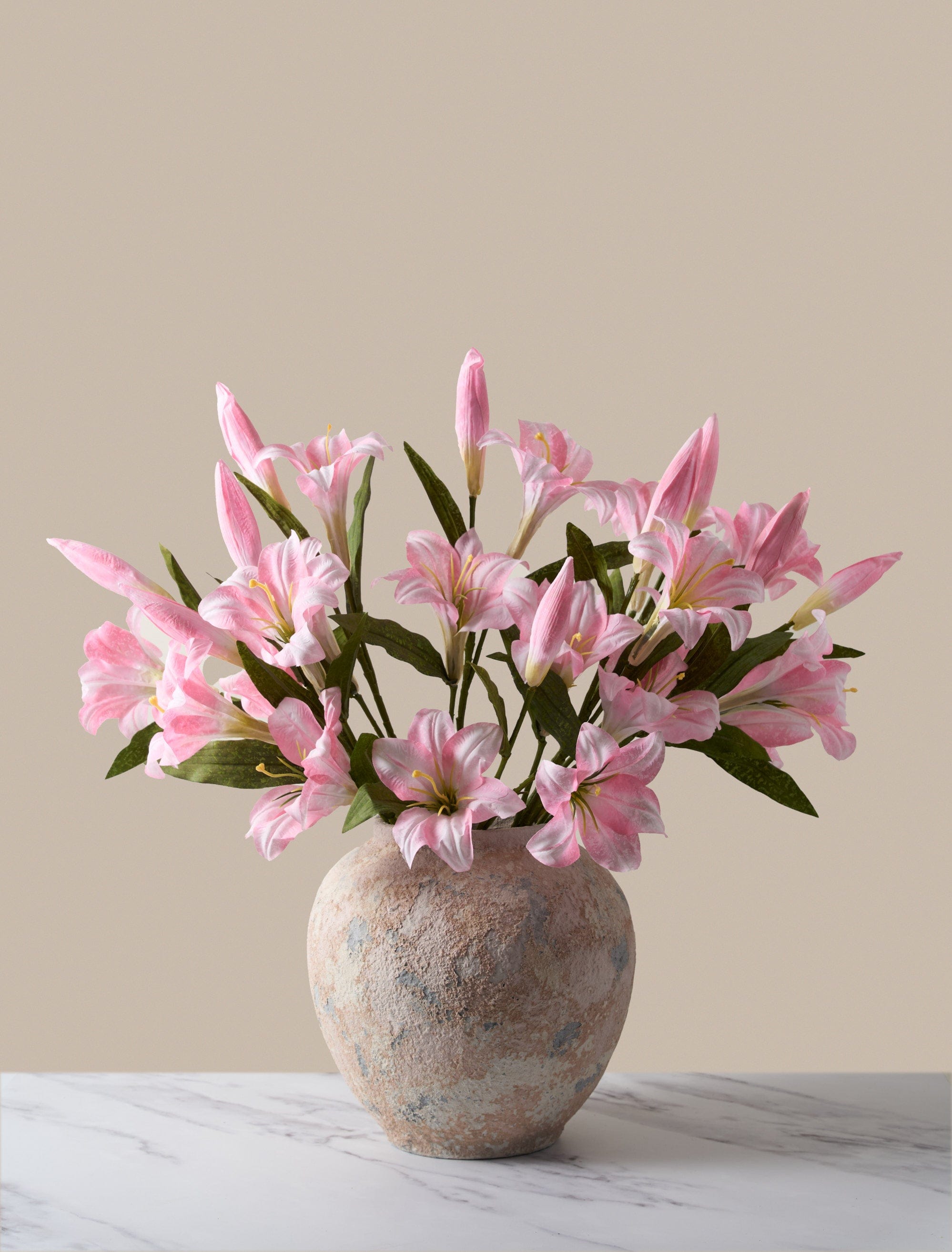 Pink Lily