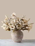 Beige Lily