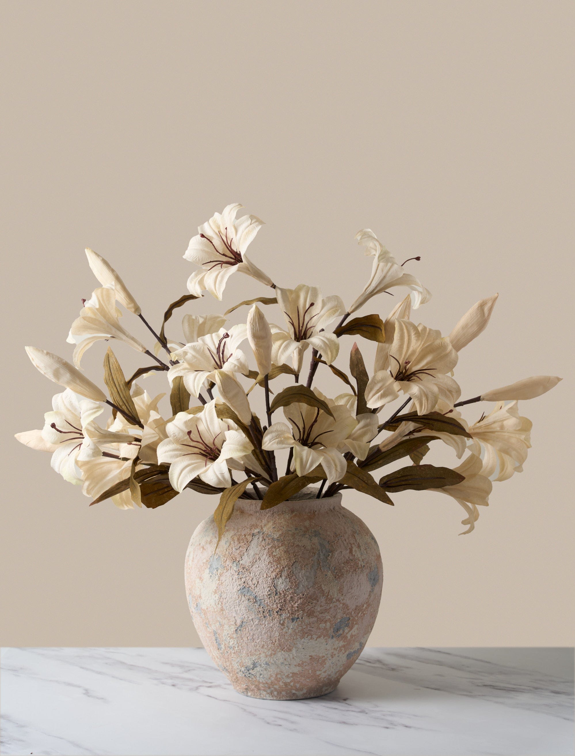 Beige Lily