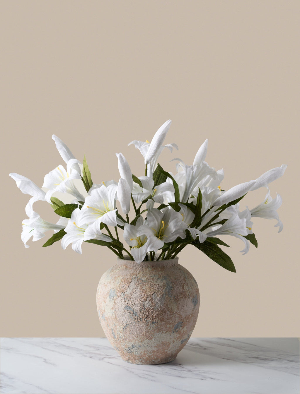 White Lily