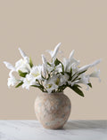 White Lily