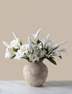 White Lily