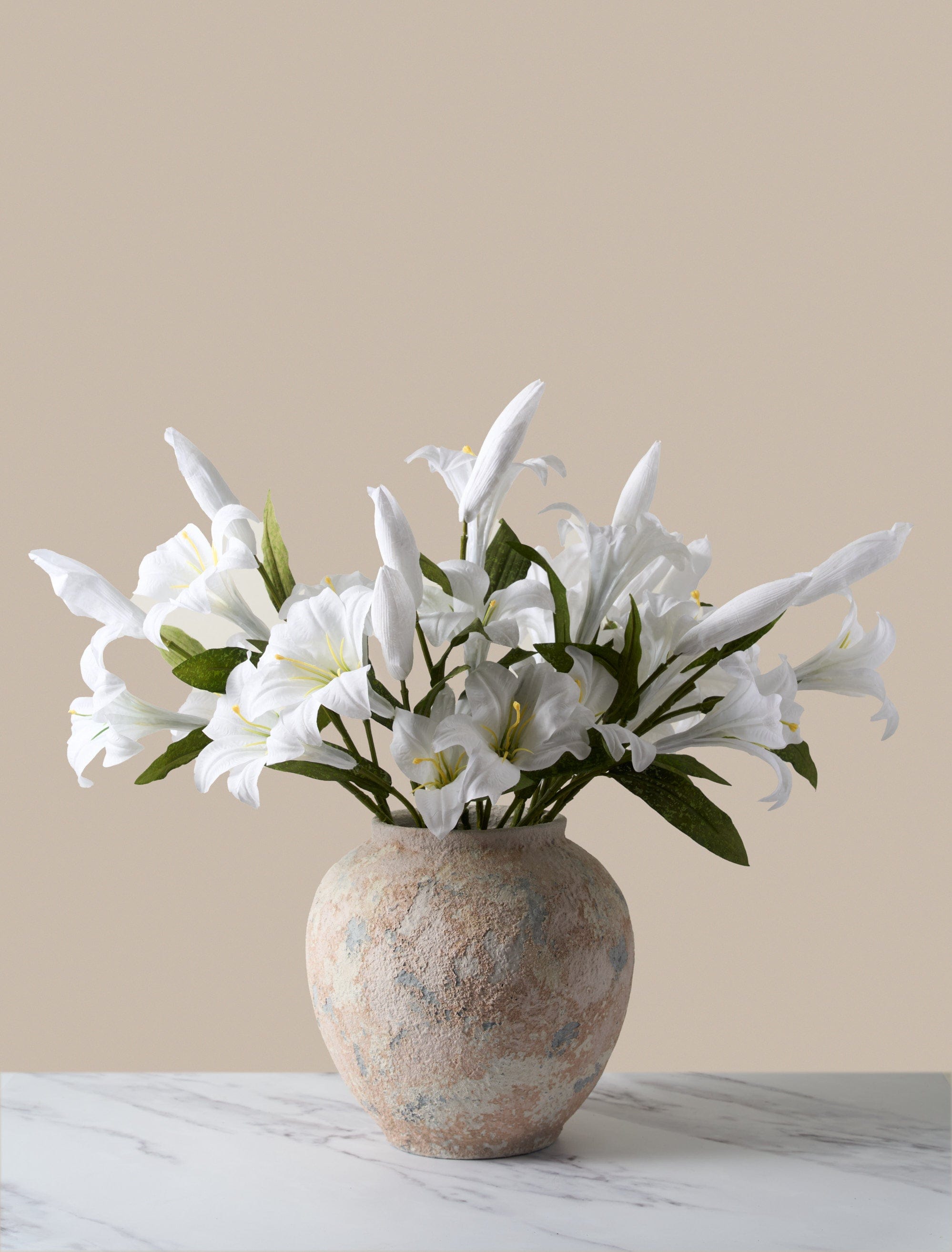 White Lily