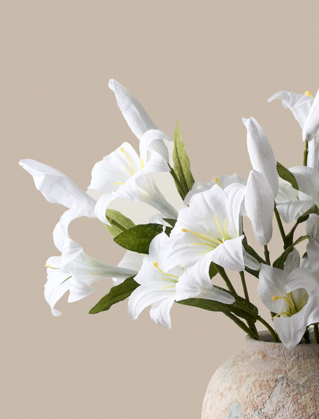 White Lily