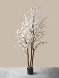 Blossom Tree
