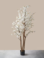 Blossom Tree