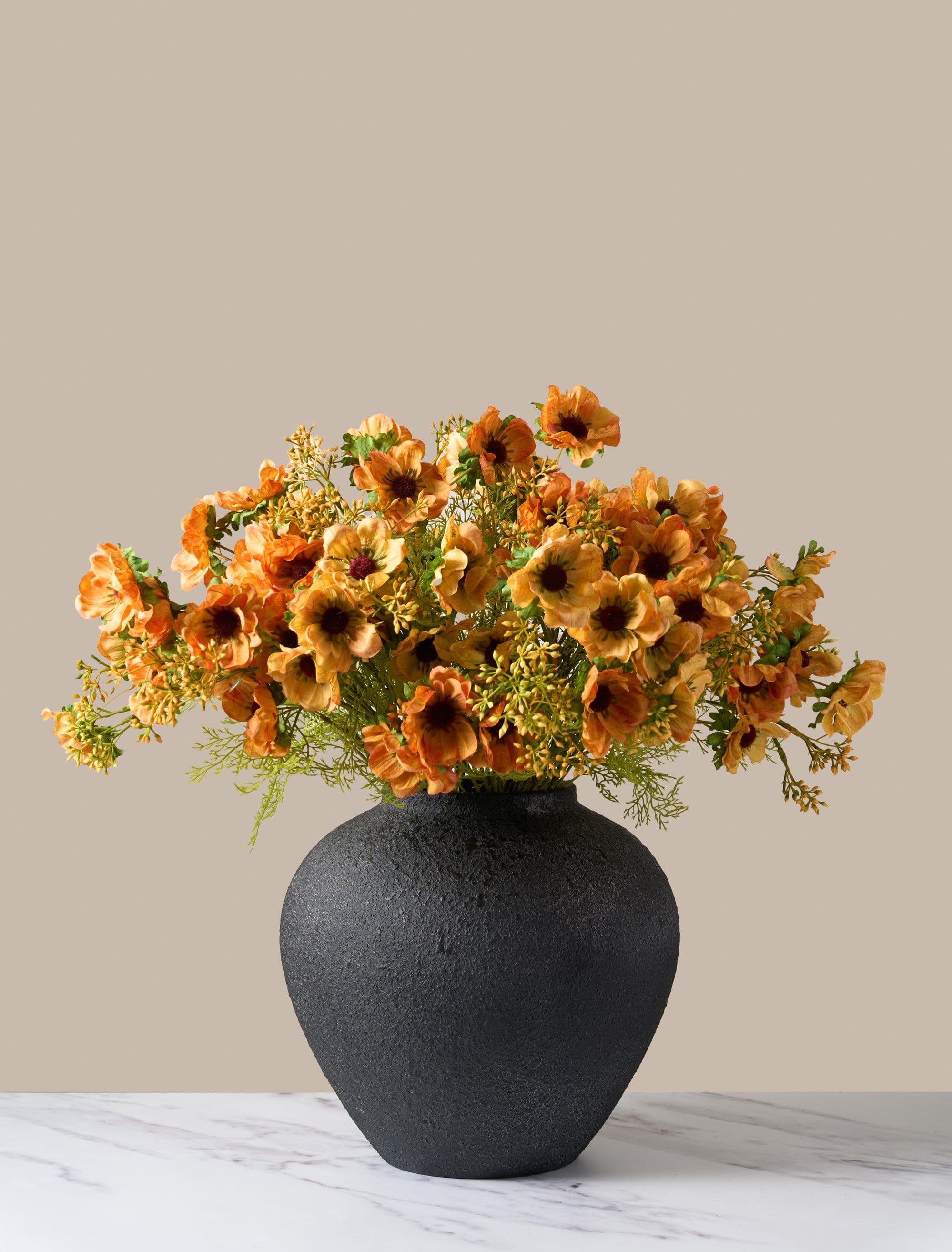 Sunrise Poppy