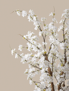 Blossom Tree