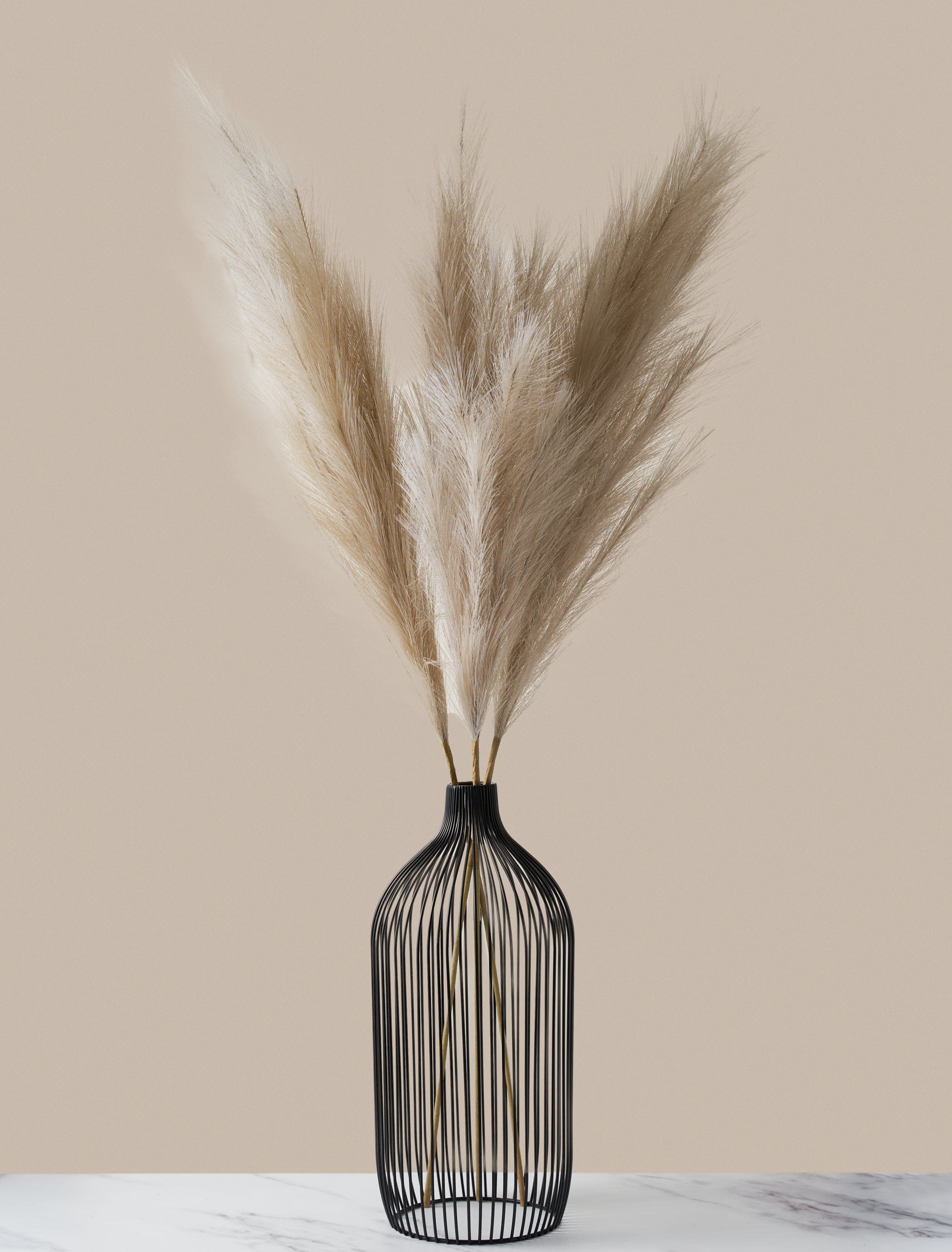 Cream Pampas Grass