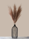 Natural Pampas Grass