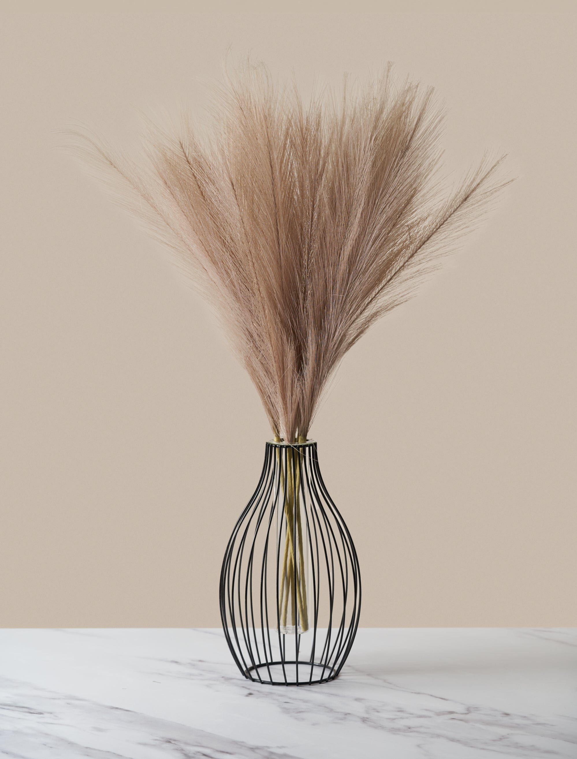 Natural Rose Pampas