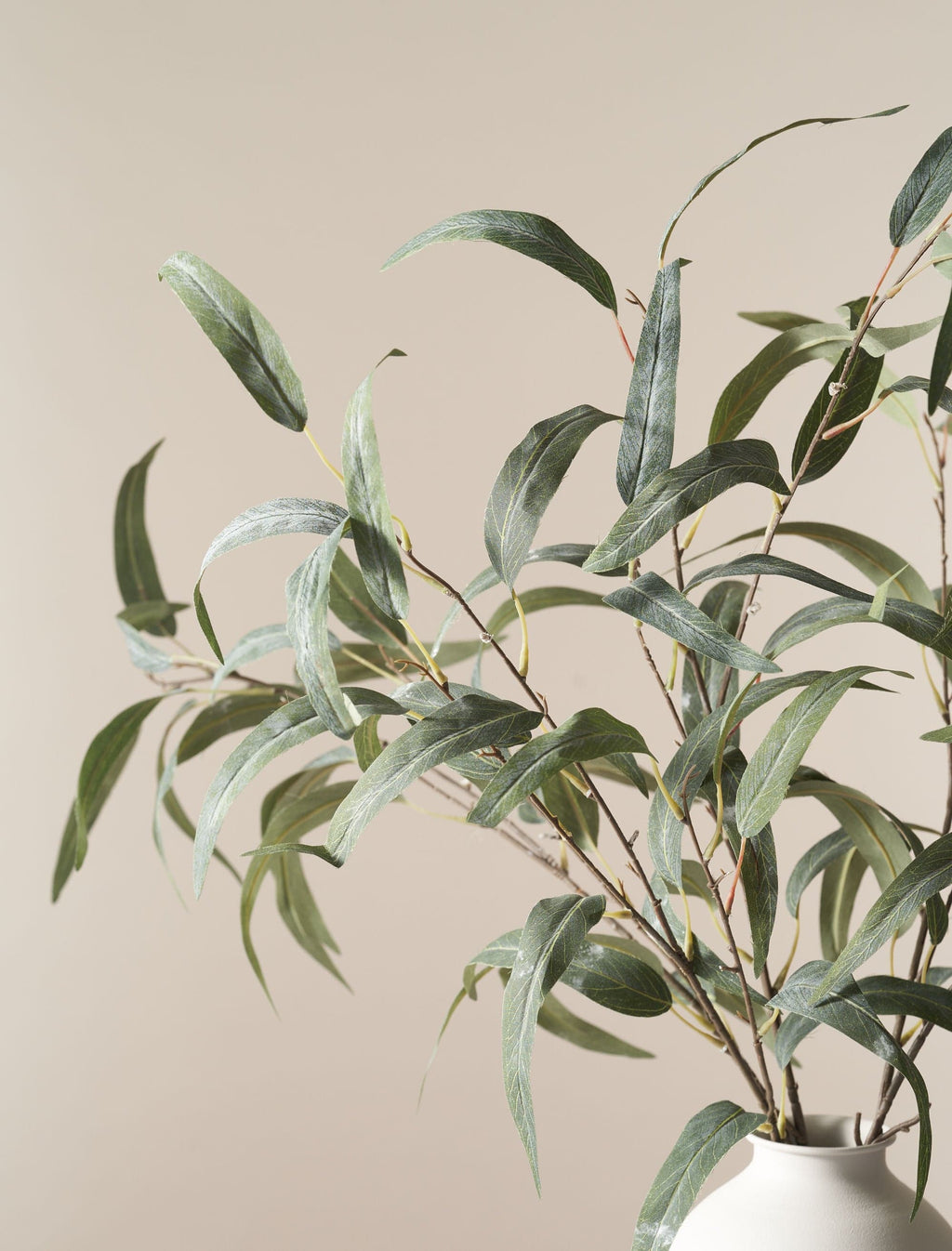 Green Willow Eucalyptus