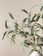 Green Willow Eucalyptus
