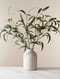Green Willow Eucalyptus