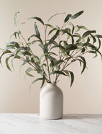 Green Willow Eucalyptus