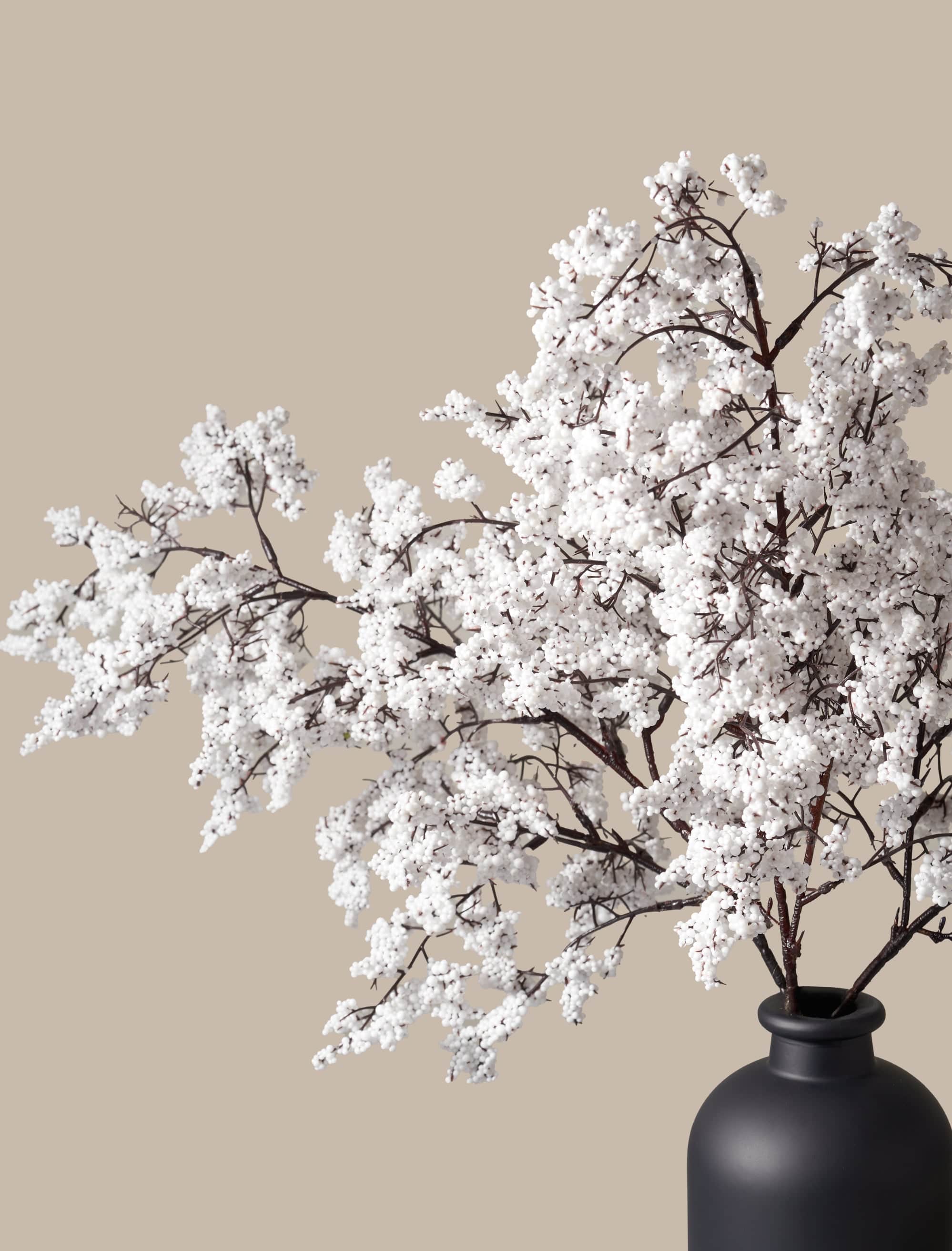 Winter White Berry