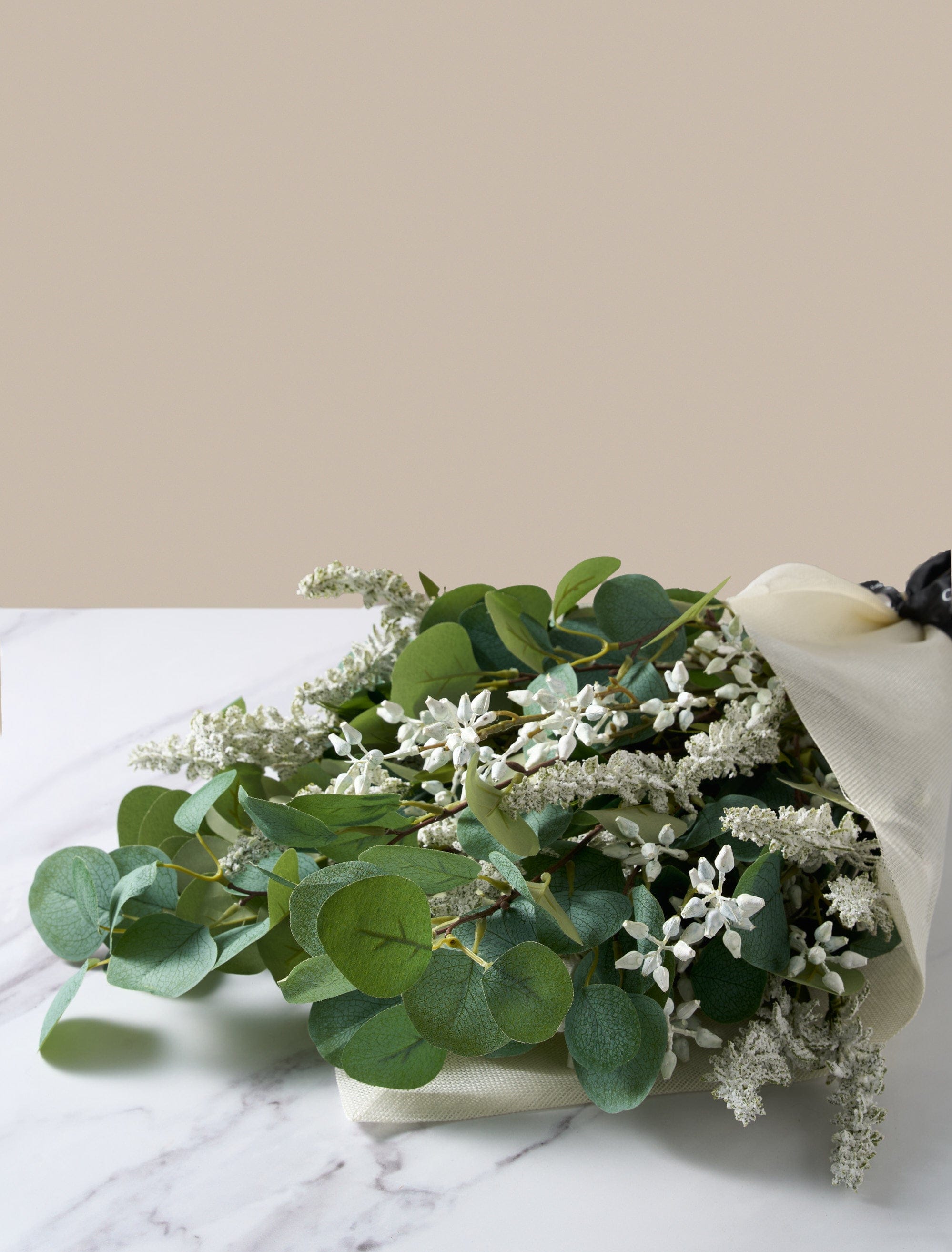 Eucalyptus White